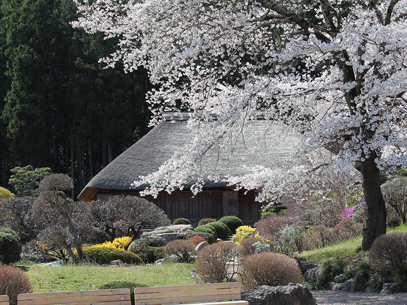 Roadside Station Washi no Sato Higashi Chichibu