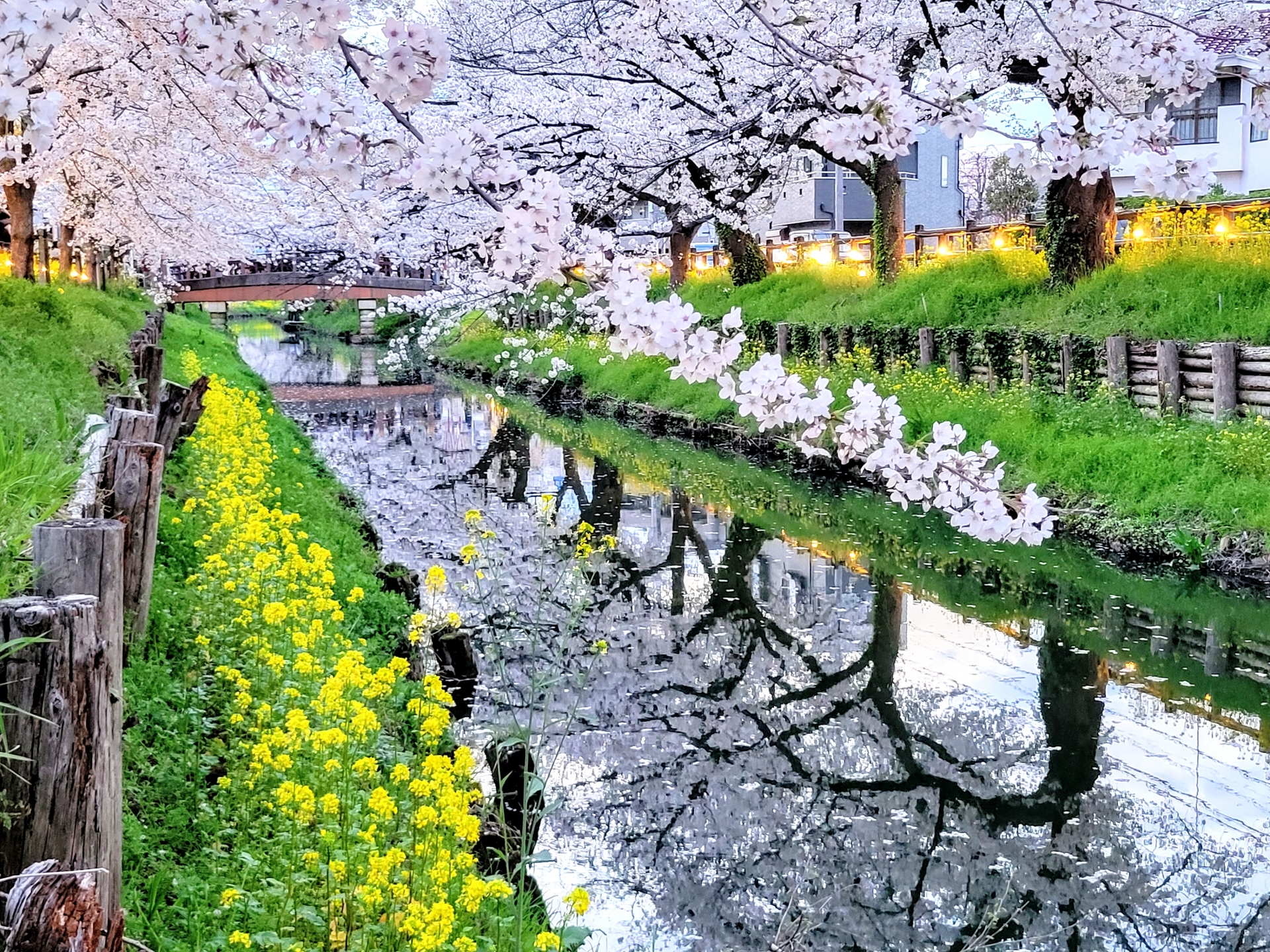 Shingashi River behind the Kawagoe Hikawa Shrine