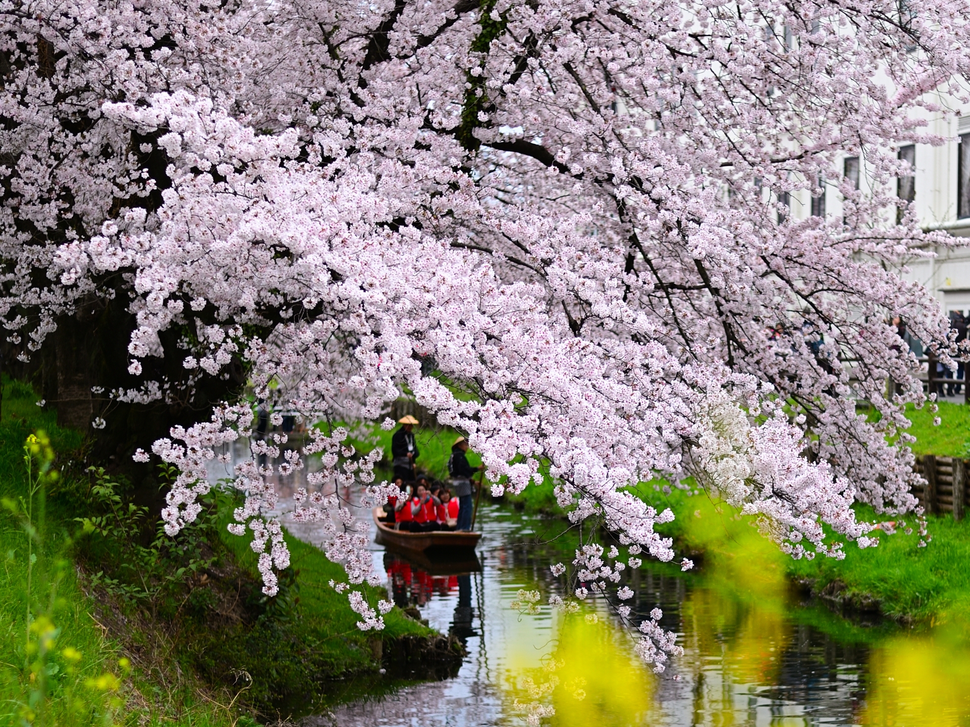 Shingashi River behind the Kawagoe Hikawa Shrine