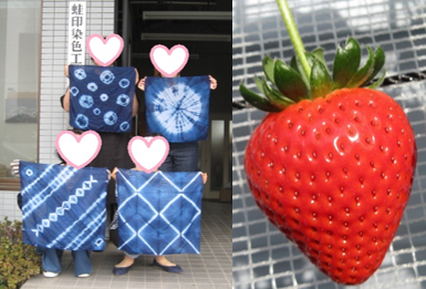 領略藍染的藝術，享受草莓採摘的樂趣，盡情暢遊購物的天堂！