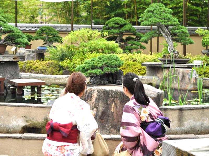 Come and see the White Sand and Stone Monochrome World at Omiya Bonsai Art Museum