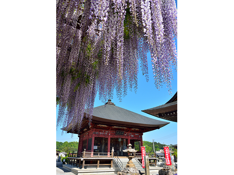 Chichibu Fudasho Pilgrimage: Sacred Site No. 5, Gokado Temple of Mt. Ogawa