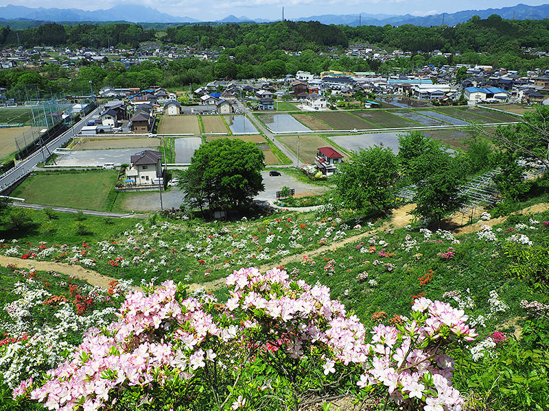 Mt. Hanasaki Park