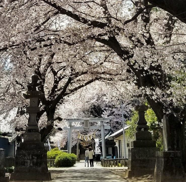 Sakitama Shrine