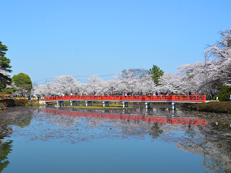 岩槻城址公园