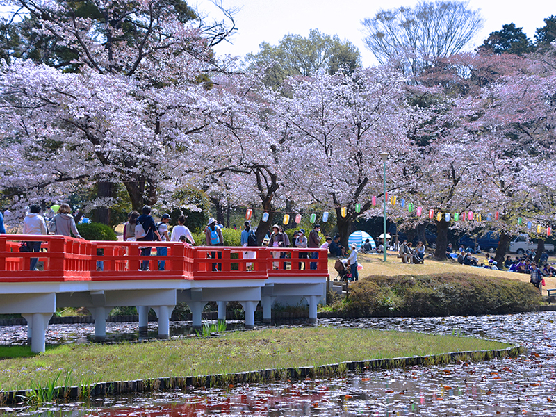 岩槻城址公園