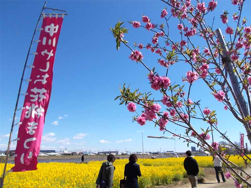 中川やしおフラワーパーク