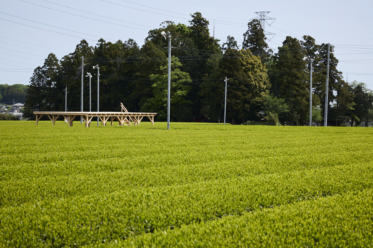 自然の中で茶畑テラス「茶の輪」貸切プラン