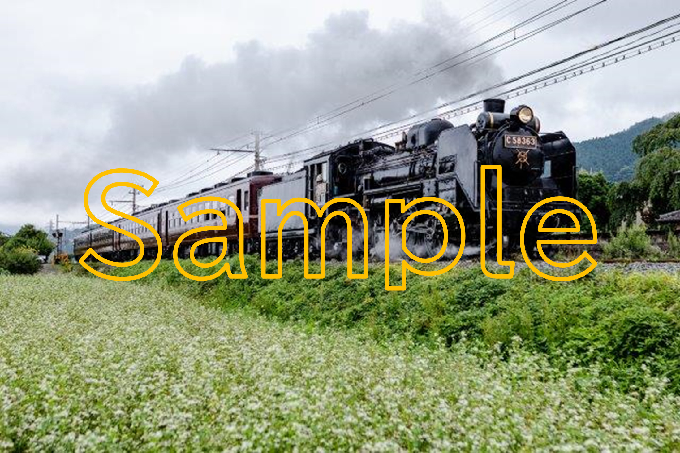 Chichibu Railway SL