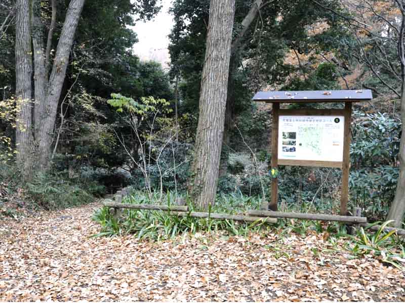 Sayama Hill Flora & Fauna Interaction Center