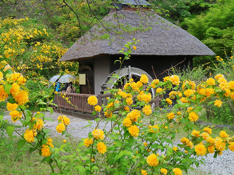 Yamabuki no Sato Historical Park