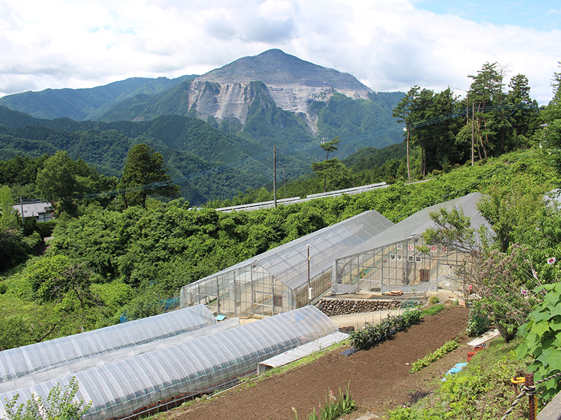 Kotohira Farm