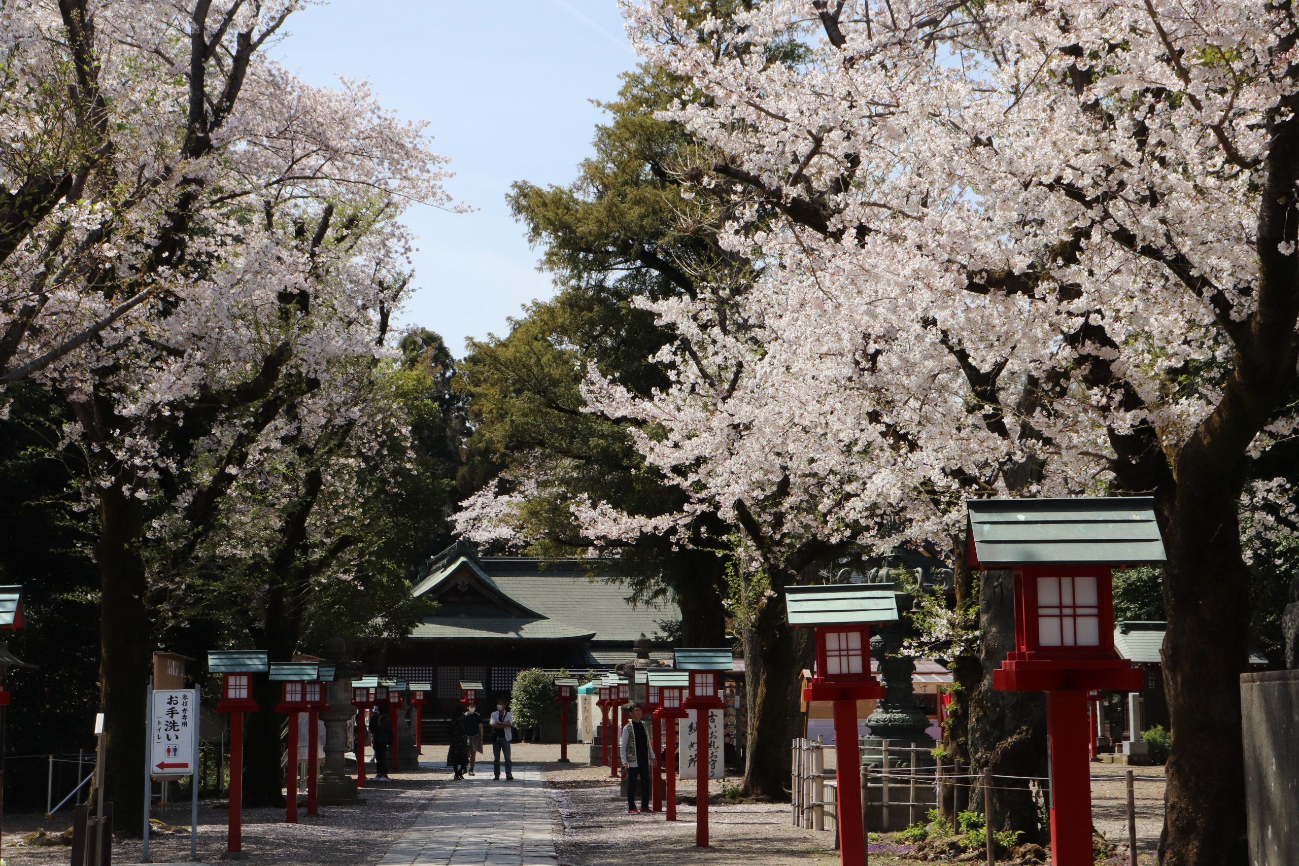 鷲宮神社