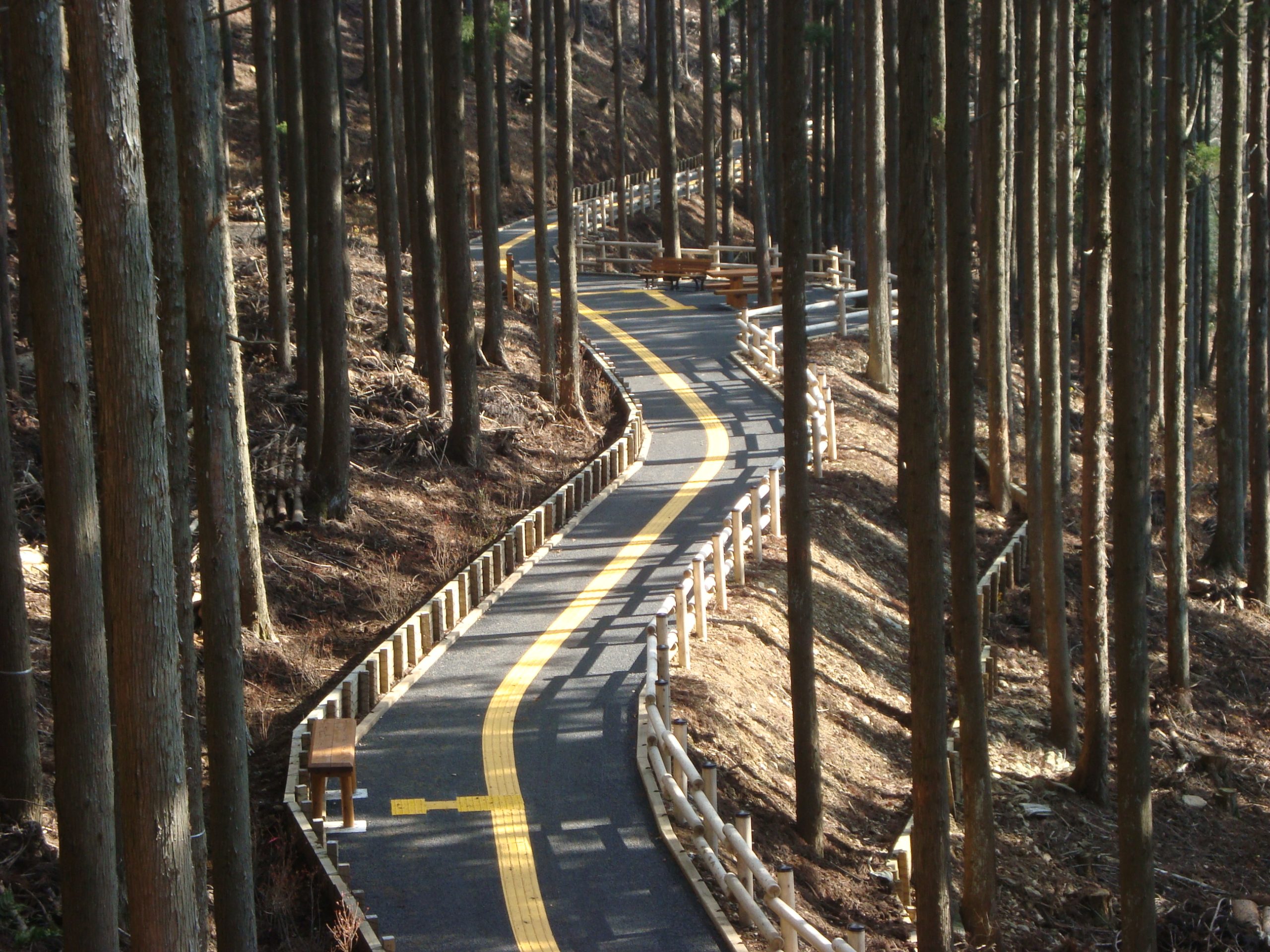 Saitama Prefectural Forest Park