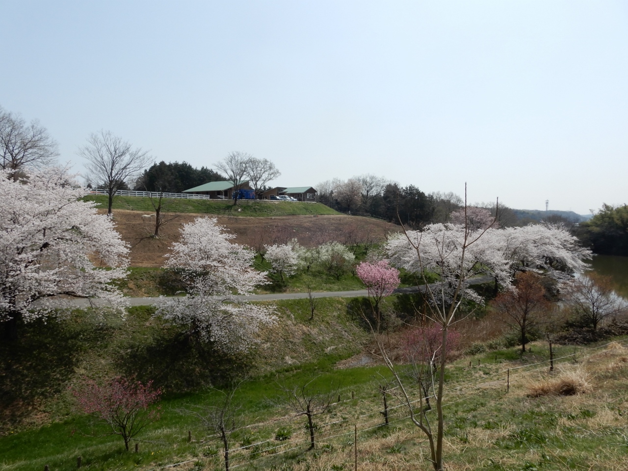 Yatsu no Sato