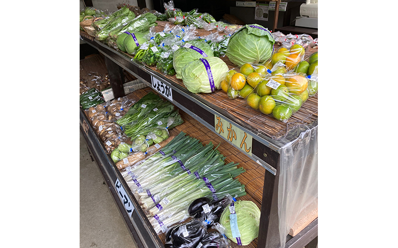 桶川市べに花ふるさと館