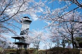 Mt. Ninomiya Observatory