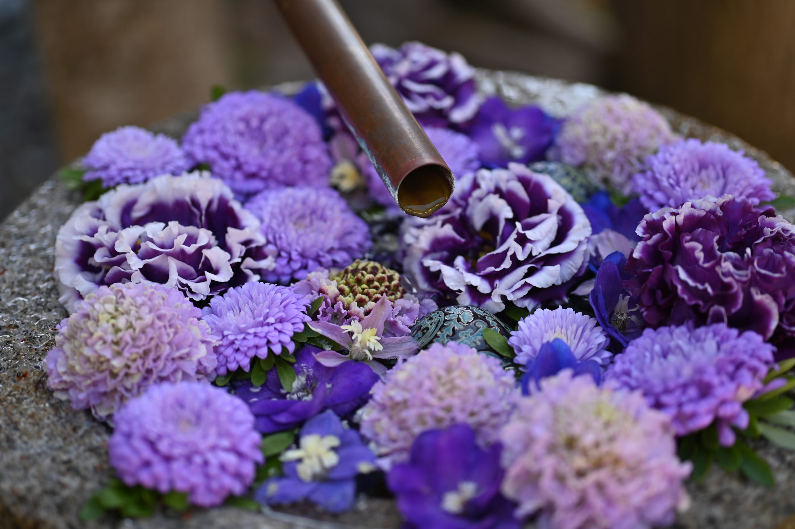 忍城での花手水体験！