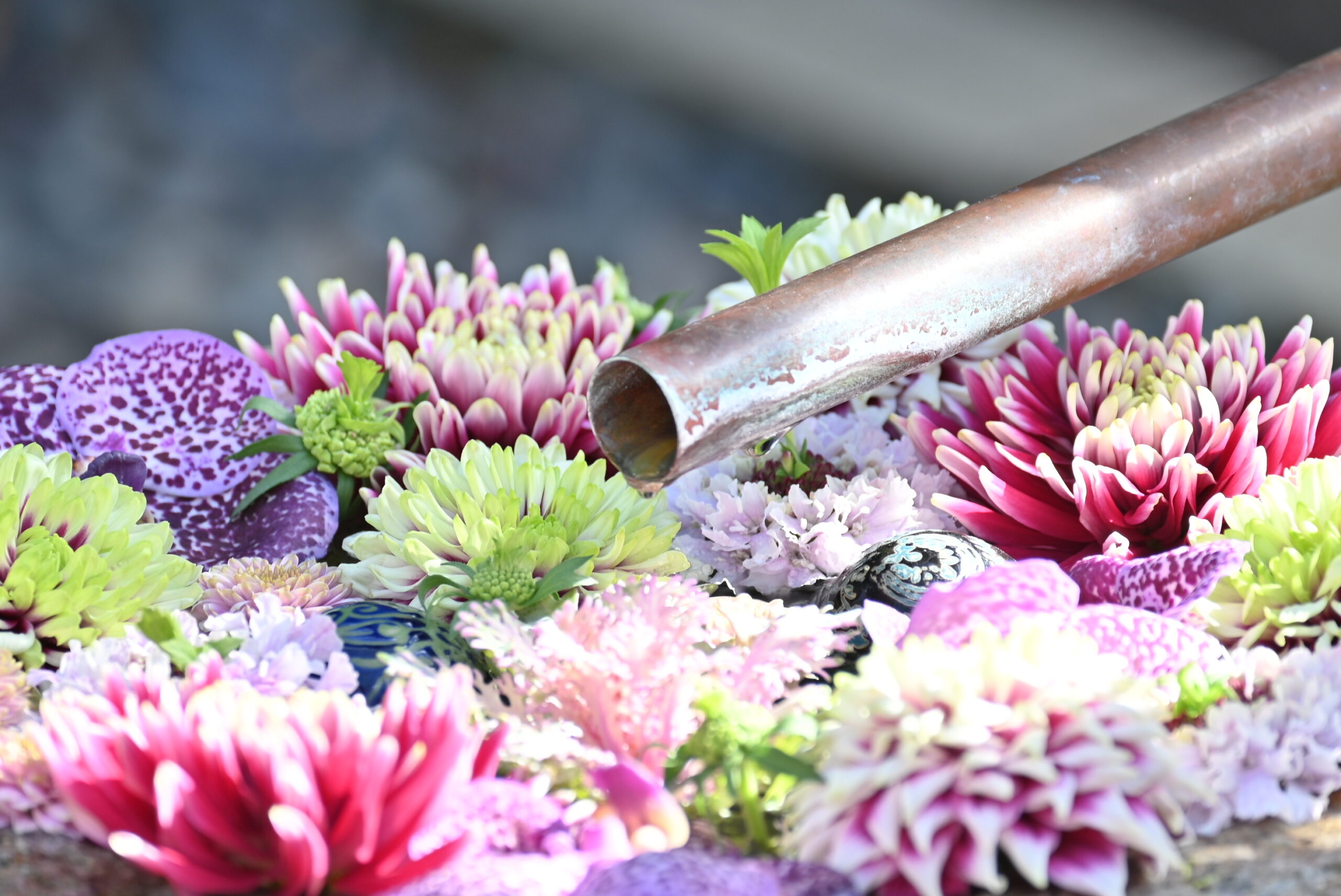 忍城での花手水体験！