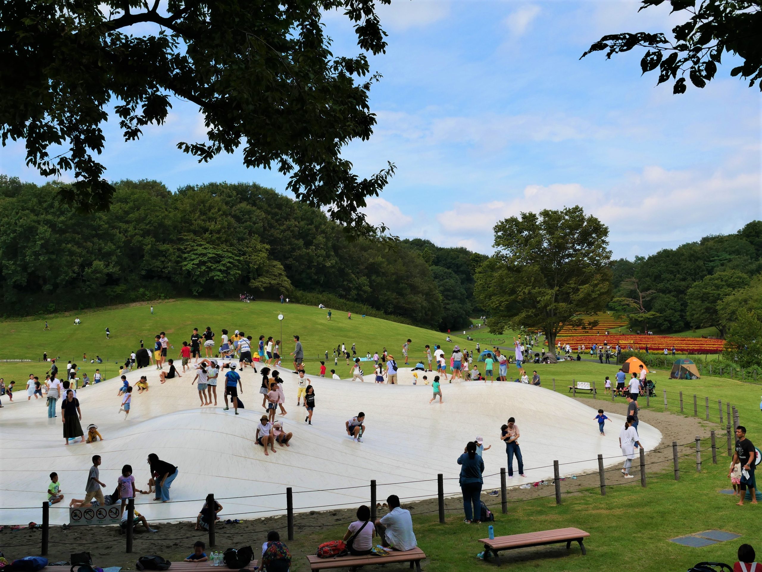 国営武蔵丘陵森林公園