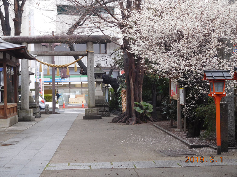 Hikawakuwa Shrine