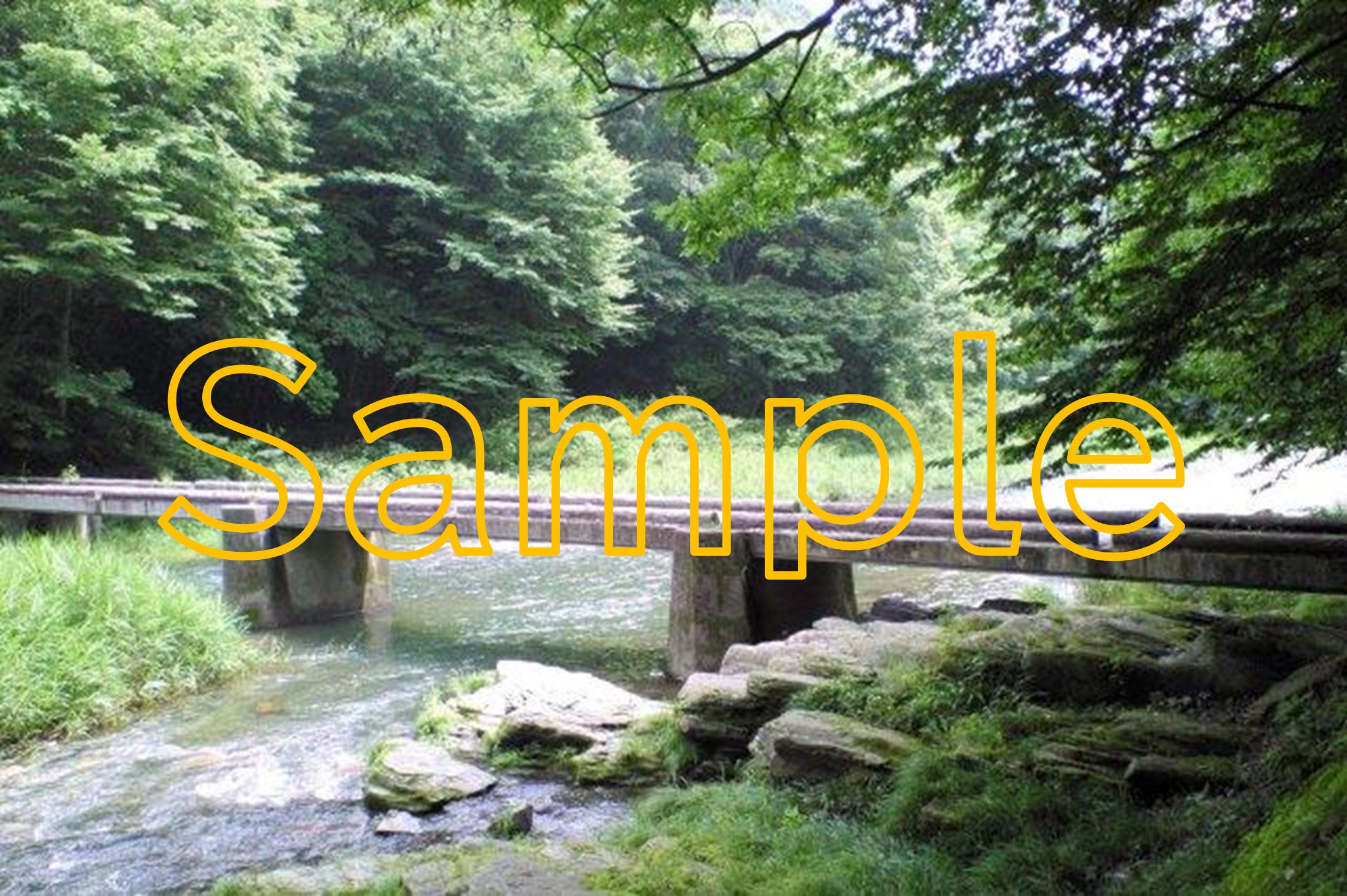 Fresh Leaves at Ranzan Valley’s Flood Bridge