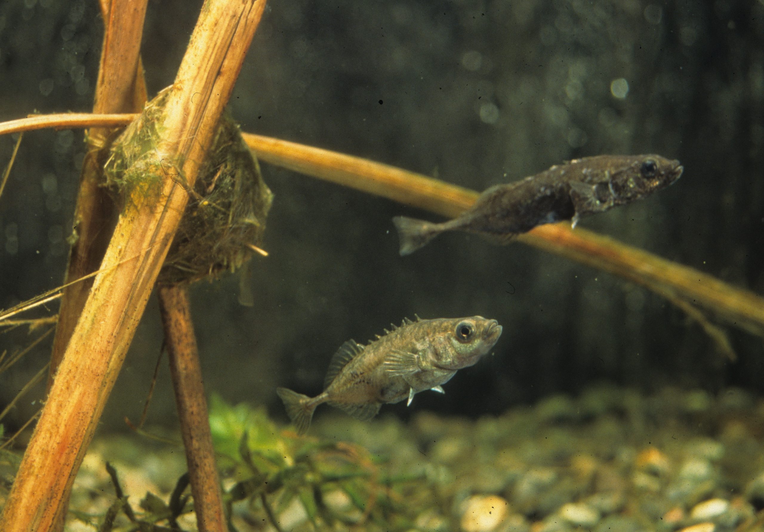 Saitama Aquarium