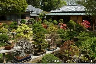 Omiya Bonsai Village