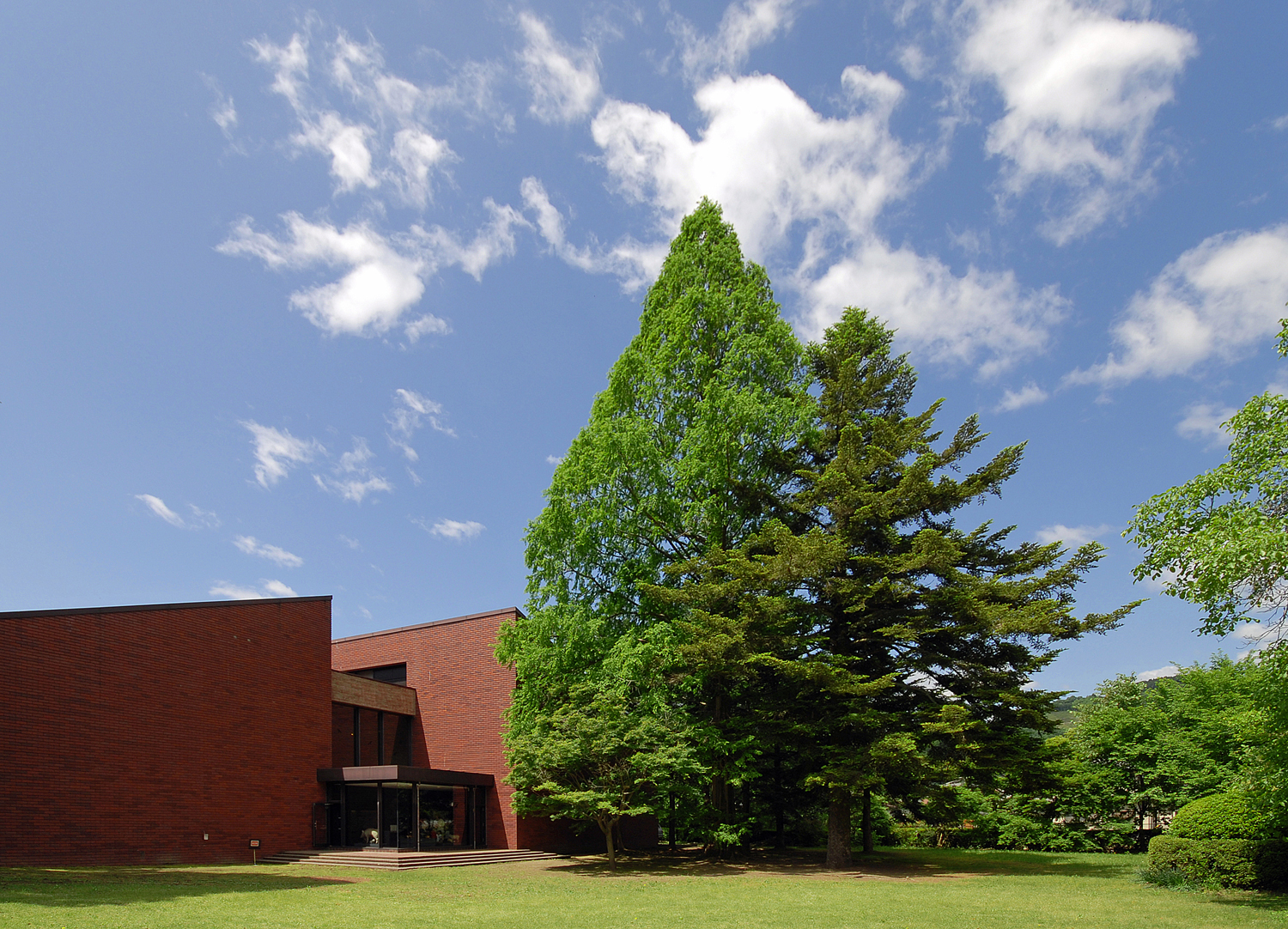 Saitama Museum of Natural History