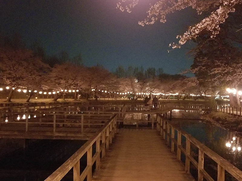 Tsurugashimashi Sports Park