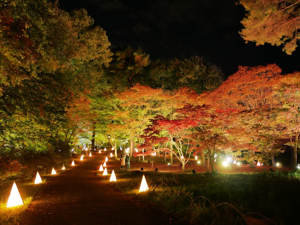 Musashi-Kyuryo National Government Park