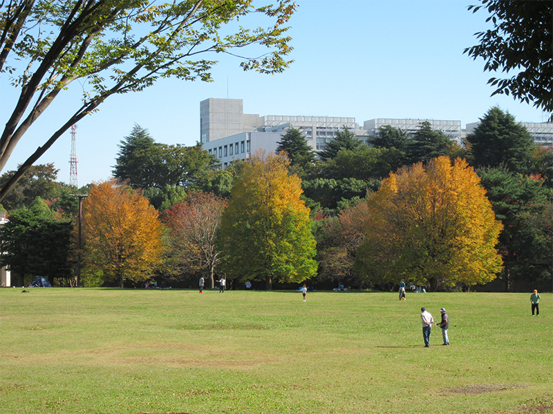 和光樹林公園