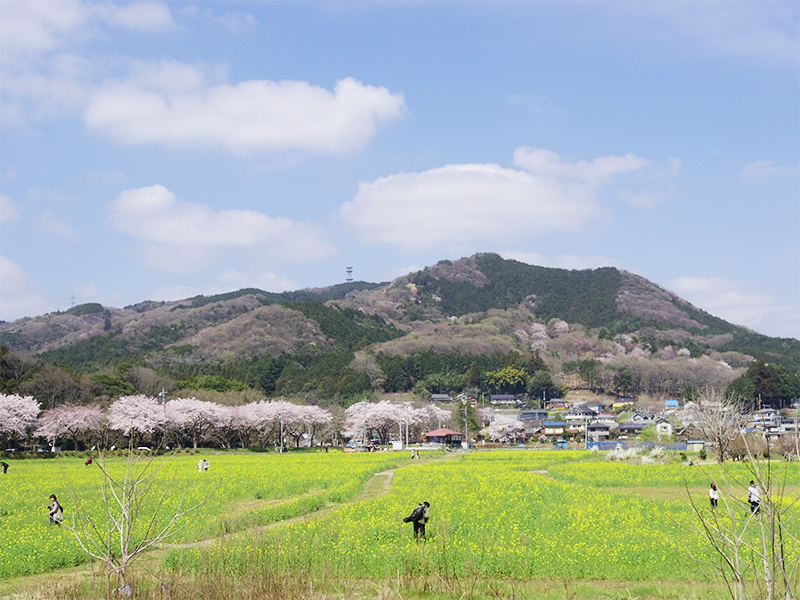 Mt. Hiwada