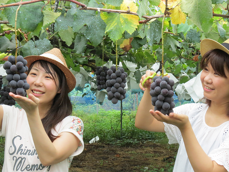 Yokose Family Farm Village