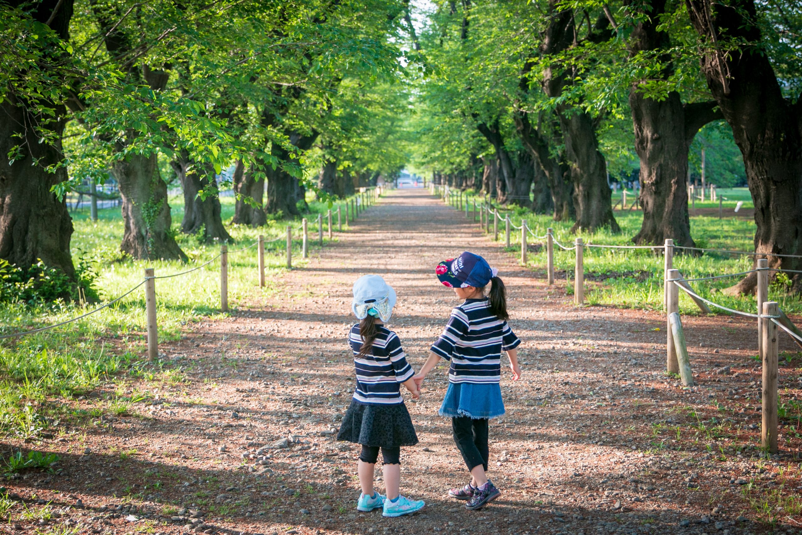 Green Trust Conservation Site No. 13 “Musenyama, KDDI Forest”