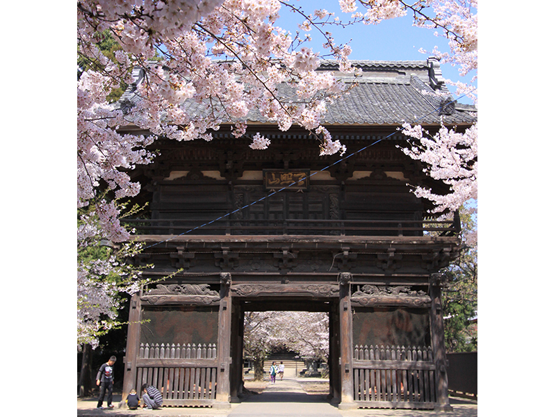 胜愿寺