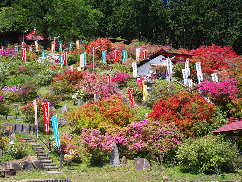 Godaison Azalea Park