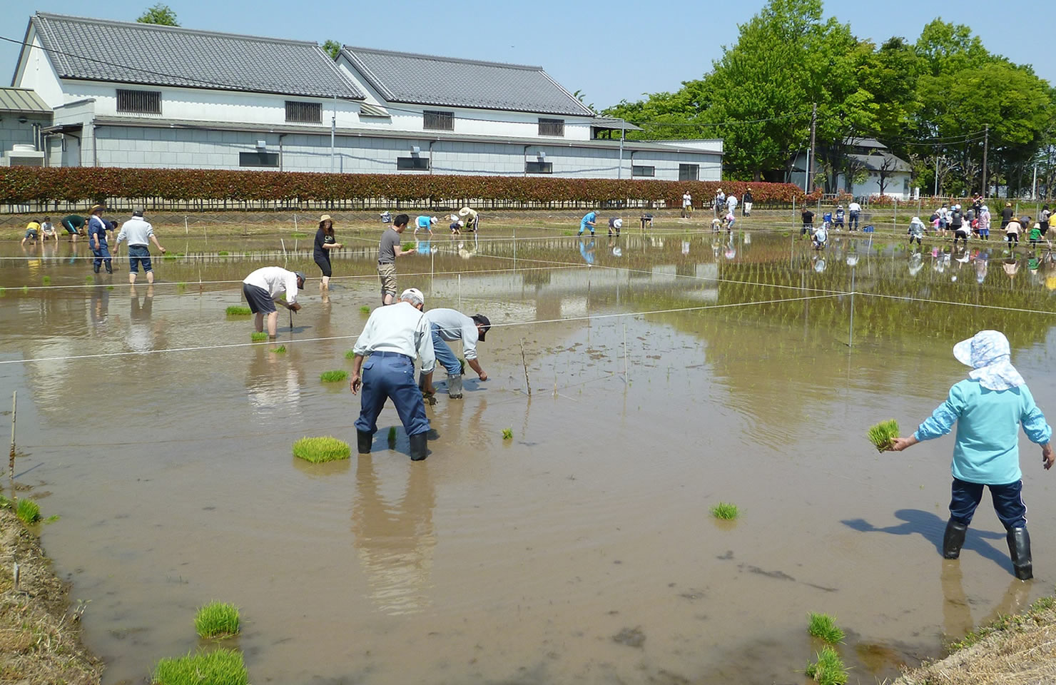 北川边白米公园