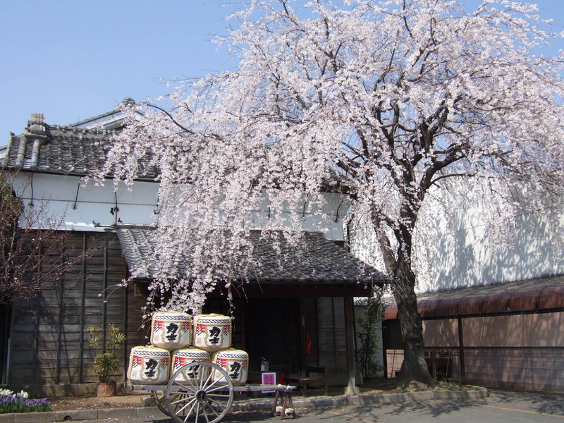 清酒力士釀造所 株式會社釜屋