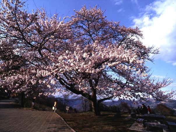 Ikoinomura Heritage Minoyama