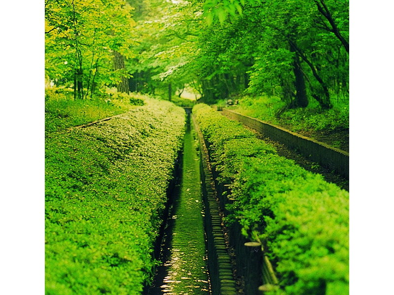 Nobi dome Yousui Waterway