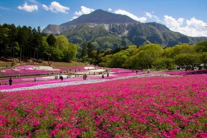 Private Walking Tour with Sake Brewery Visit in Chichibu