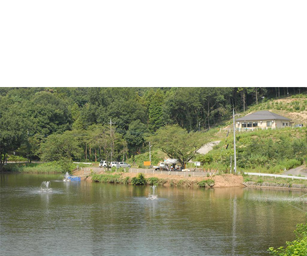 Iko no Sato Fishing Park