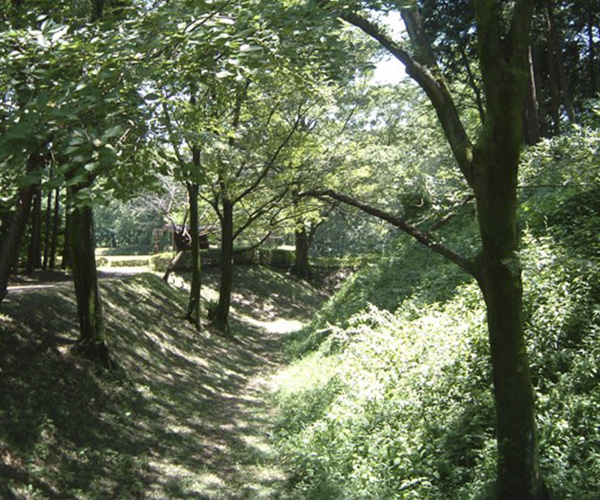 Sugaya Yakata Castle Ruins