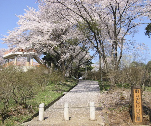 杓子母神山公园