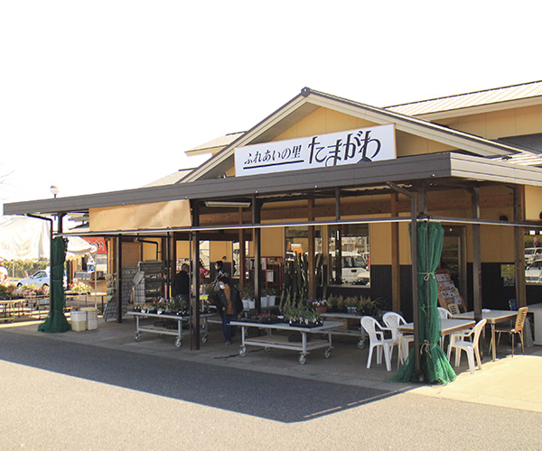 Fureai no Sato Tamagawa (Farmers Market)