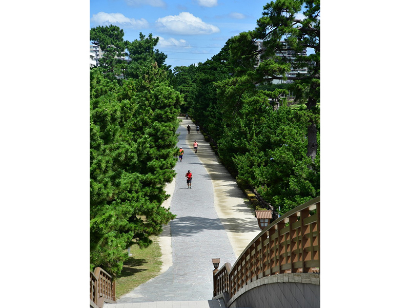 Soka Matsubara Walking Trail