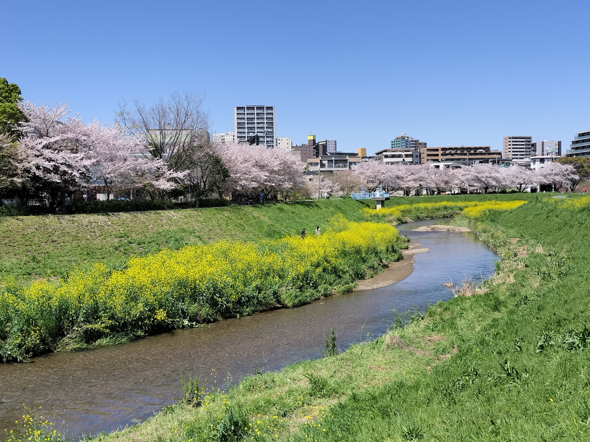 A Fresh Breeze Rolling Through Rural Saitama