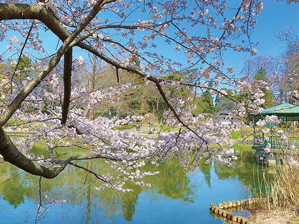 Omiya Park