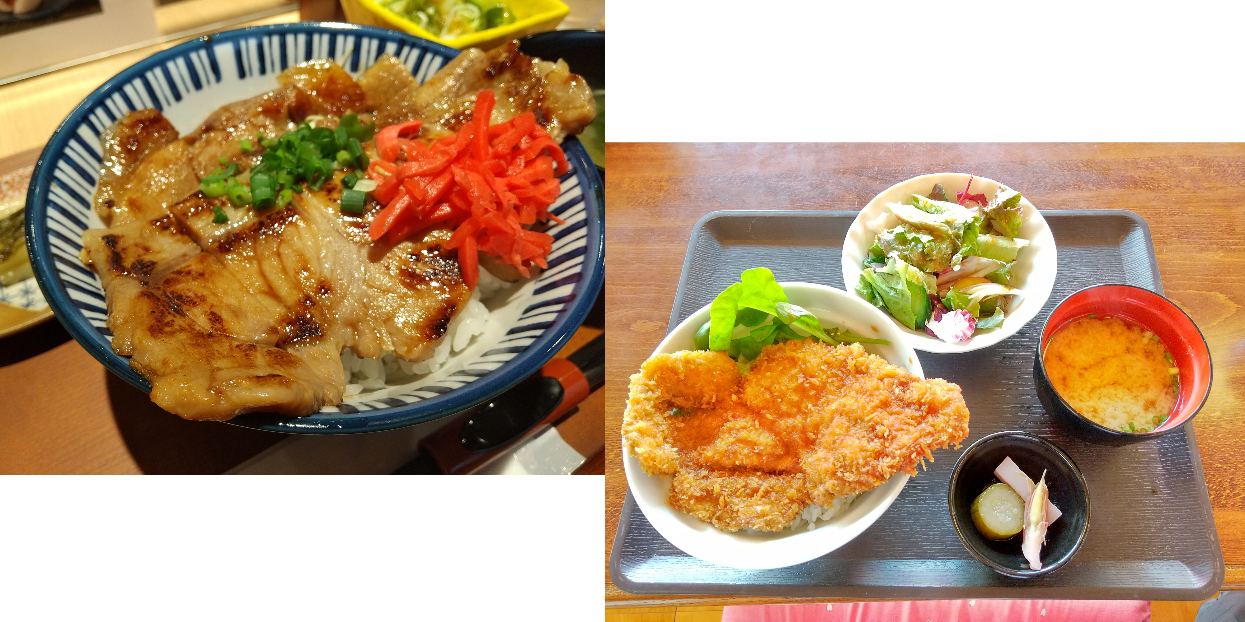 Pork Miso Bowl and Waraji Katsu Bowl